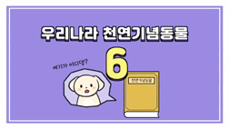 비마이펫_천연기념동물